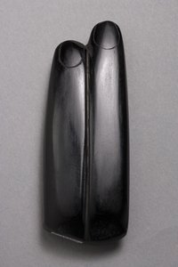 الأصابع (سبج)